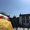 Отель Lhasa Zhuma Hostel, фото 11