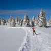 Отель Ski Apartment Frigo Pohorje 1, фото 8