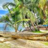 Отель San Blas Private Beach Cabin, фото 32