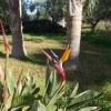Отель Verdeoliva Bed & Breakfast, фото 29