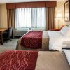 Отель Holiday Inn Columbus, an IHG Hotel, фото 4