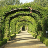 Отель Stapleford Park Country House Hotel and Sporting Estate, фото 26