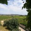 Отель Villa With 4 Bedrooms in Pouzols Minervois , With Private Pool, Enclos, фото 20