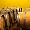 Отель Eco Bio Agriturismo La Bella Vite - Camere Con Vigna, фото 13