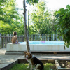 Отель Laranjalimao Guest House, фото 31