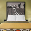 Отель Super 8 by Wyndham Maysville KY, фото 5