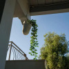 Отель Borgo Canneto Rodi Garganico, фото 13