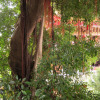Отель Shennong 147 Hostel, фото 13