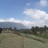 Отель Lawang Sari Homestay, фото 12