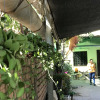 Отель Siem Reap Homesteading, фото 23