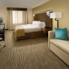 Отель Holiday Inn El Paso Airport, an IHG Hotel, фото 23