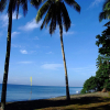Отель Banana Beach, фото 15