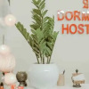 Отель Dorm24H Hostel, фото 41