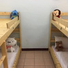 Отель Mr. Red Tea B&B - Hostel, фото 7