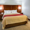 Отель Comfort Inn Redding Near I-5, фото 4