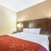 Отель Comfort Suites, фото 23
