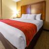 Отель Comfort Inn & Suites, фото 23