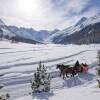 Отель Bernina Express Rooms, фото 45