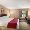 Отель Days Inn & Suites Revelstoke, фото 13