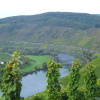 Отель Lovely Modern Apartment, Near the Mosel, Shops and Restaurants, фото 13