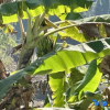 Отель Jiahe Homestay (Gaozhuang Star Night Market), фото 6