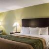 Отель Comfort Inn & Suites St. Pete - Clearwater International Airport, фото 7