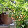 Гостиница By the Beach Guest House в Геленджике