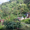 Отель Stunning 2-bed Apartment in Grand Roy, Grenada, фото 11