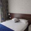 Отель Bronze Hotel, фото 4