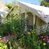 Отель TIH Buckwheat Root Camp - Turtuk, фото 5