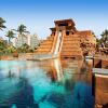 Отель The Cove at Atlantis, фото 31