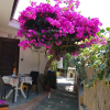 Отель B&B Baia di Riaci Tropea, фото 26