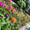 Отель Xiachuan Changfu Hotel, фото 3