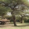 Отель Lake Natron Tented Camp, фото 3