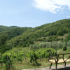 Отель Holiday Home with Shared Swimming Pool in the Green Hills of Chianti, фото 18