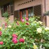 Отель B&B The Roses Garden в Коссерия