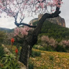 Отель Boutique Villa Alaro, фото 13