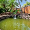 Отель Hanalei Colony Resort J3 - steps to the sand, oceanfront views all around!, фото 17