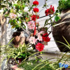 Отель Rooftop Kejia Homestay, фото 8