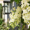 Отель Villa Madame, фото 20