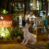 Отель Rabbit Resort Pattaya, фото 14