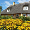 Отель Langeland Holiday House, фото 1