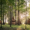 Отель Forest Camping Mozirje, фото 23