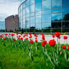 Отель Harmony Park, фото 20