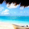 Отель Magic Tropical, фото 26