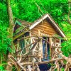 Отель Little House, фото 6