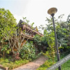 Отель Xishuangbanna Golden Pineapple Inn, фото 20