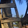 Отель Beyin Eco Beach Camp, фото 3