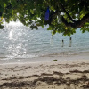 Отель Avanti Vaadhoo Gaafu Dhaalu Atoll, фото 23