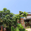 Отель Phong Nha Friendly Home, фото 18
